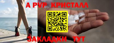 стаф Кингисепп