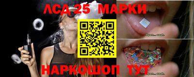 стаф Кингисепп