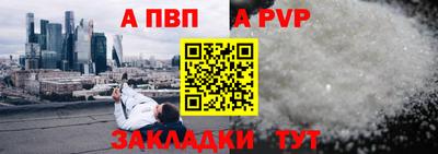 стаф Кингисепп