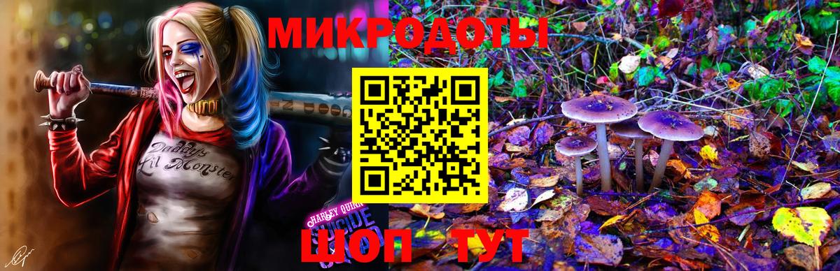 Псилоцибиновые грибы ЛСД Кохма