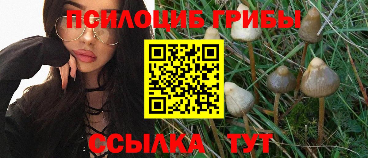 Кохма  Галлюциногенные грибы GOLDEN TEACHER  Вход с VPN 